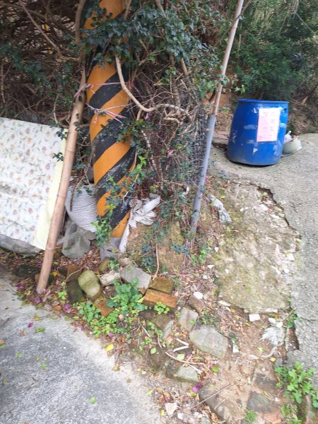 頭份鹿廚坑健行步道2734325