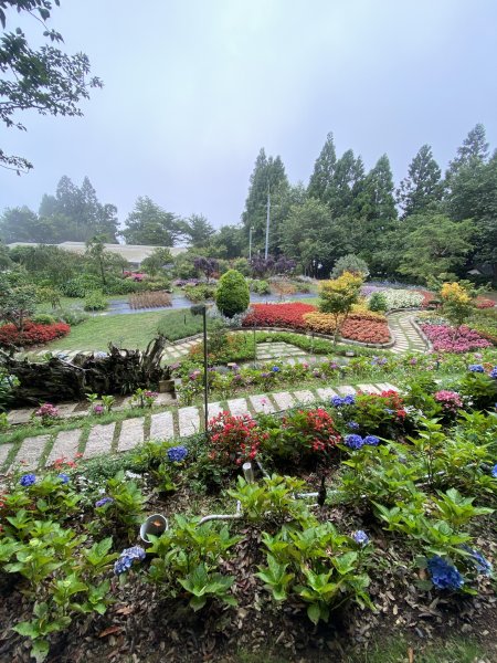 20250705-Ep.01野馬瞰山步道-2025森遊竹縣皮皮獅探險隊2851267