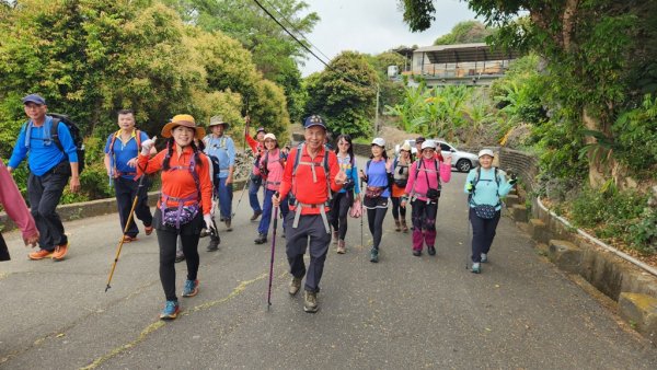 【大岡山】盤龍峽谷一線天2757977