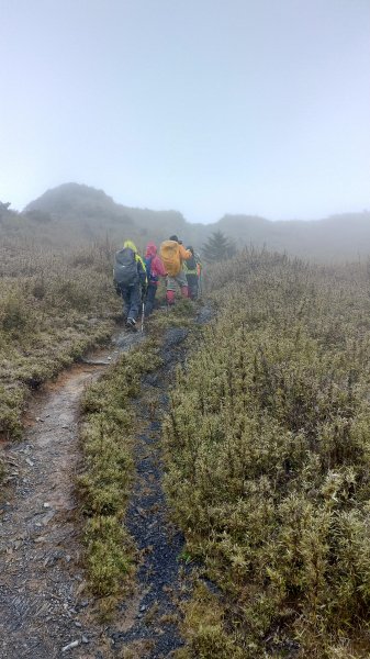 大霸群峰之旅596398