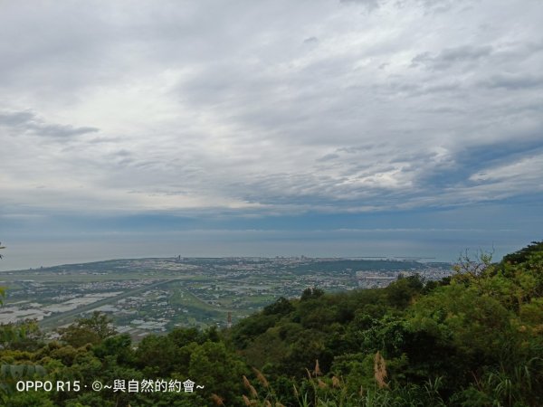 步道巡訪員 l 佐倉步道8月巡訪日誌1055606