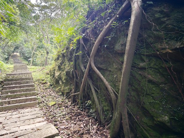 [淡蘭古道] 2026_0531 北路第一段_琉榔路步道3070566