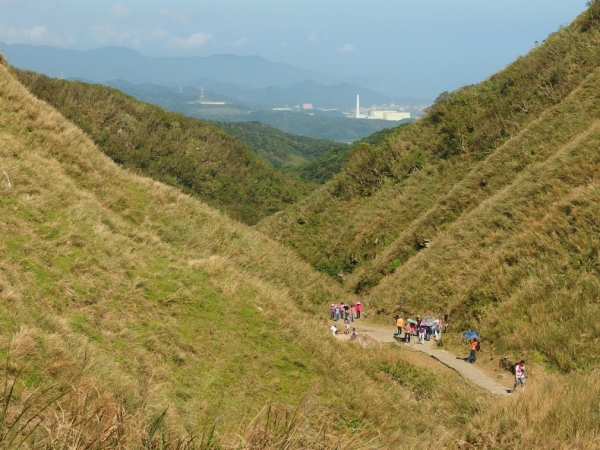 [新北]草嶺古道賞秋芒