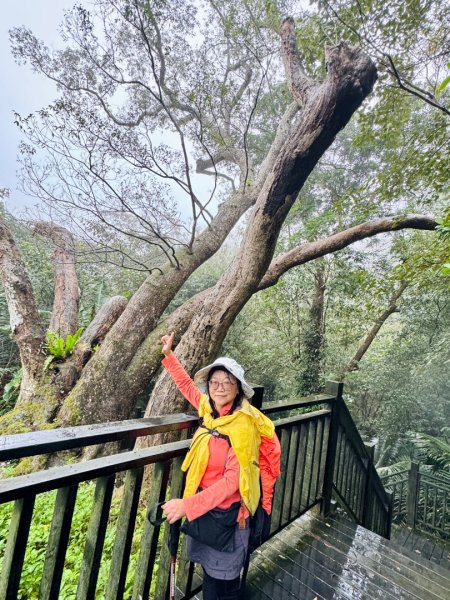 獅山 六寮古道 獅頭獅尾走一圈2992422