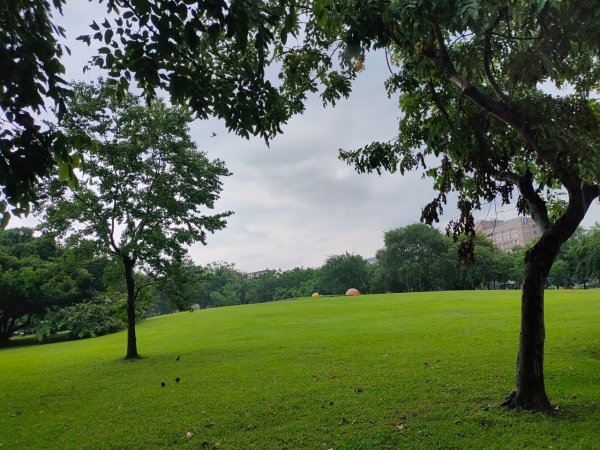 ［健康大穀東］（27~28）：天母運動公園+美崙公園（2023/8/11）2253733