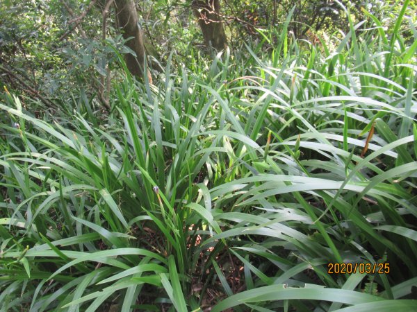 烘爐地南勢角山908506