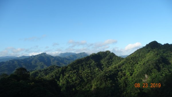 補考 - 艷紅鹿子百合656624