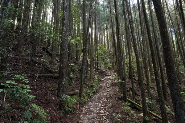台中 和平 馬崙山2796947