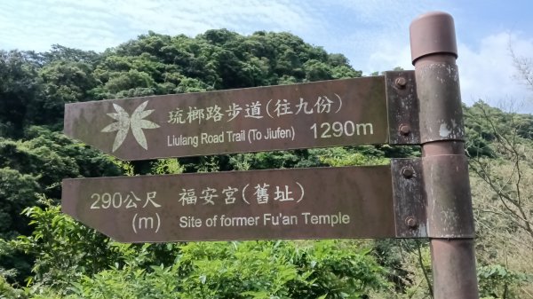 瑞芳區琉榔路觀光步道-小粗坑古道(小粗坑山+粗坑口山)3053286