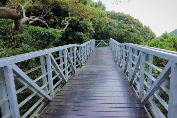 〔觀音山〕 林梢步道 〔桃園〕八德埤塘自然生態園區2153290