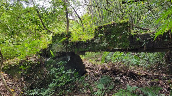 新北宜蘭-淡蘭中路（闊瀨-外澳）2176162