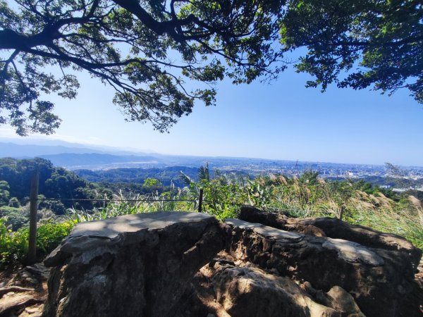 龜山福源山-牛灶坑山-鶯歌火車站走春遊2701320