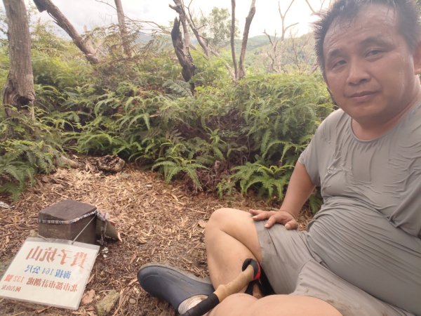 貴子坑報山步道2849845