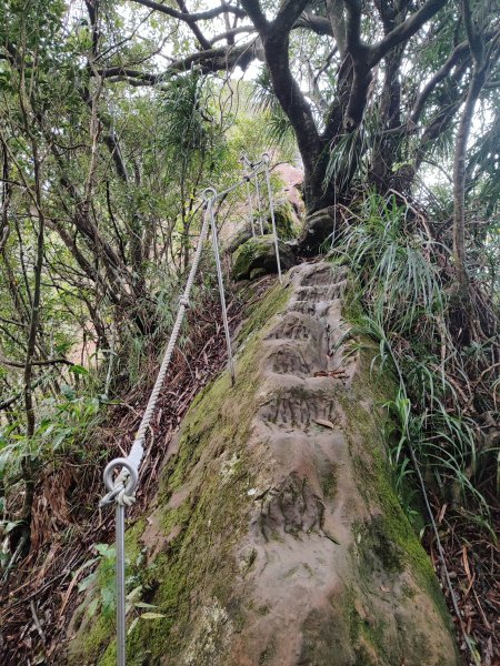 微笑山線：【二格山系】皇帝殿稜線段2955974