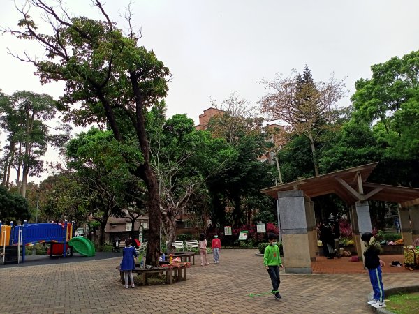 春暖花開的內湖文德三號公園、瑞陽公園、大港墘公園【齊心鞋力向前走】2025374