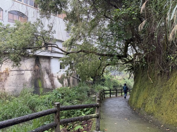 [樟之細路_第一大段RSA01] 2026_0329 清水坑溪景觀3026603