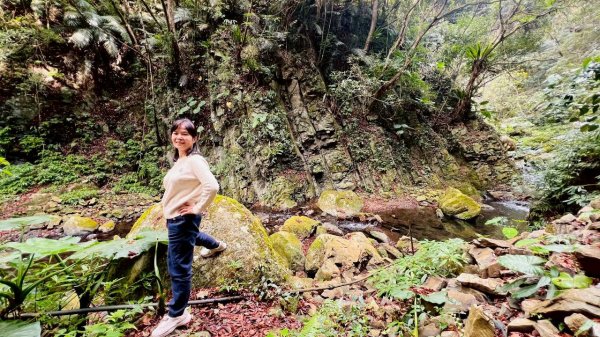 🌈2/7（六）-2/8（日）上帝部落~司馬庫斯神木2日深度之旅✨FB：熊熊趴爬走🌈🌈2995149