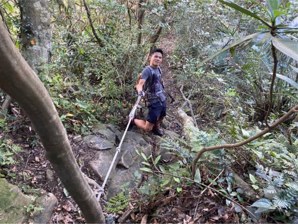 金面山.金山面山.十三份山.山麻坑山【暗藏玄機 不容你小覷的郊山縱走】2384823