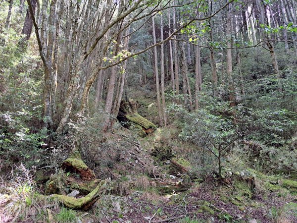 北三錐山+小雪山天池步道202306242194679