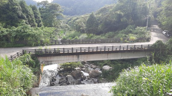 《台中》優美稜線｜橫嶺山自然步道（大雪山社區南登山口）202505312800266