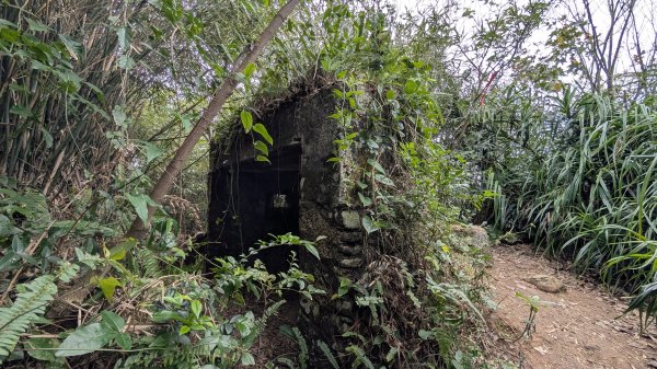 114.12.20劉銘傳隧道-獅球嶺北峰-獅球嶺東砲台山-獅球嶺池-獅球嶺砲台山之旅2966734