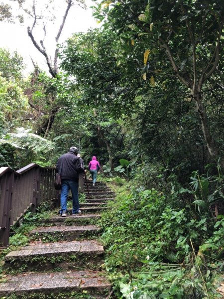 南港山縱走（中華科大登山口—象山）550418