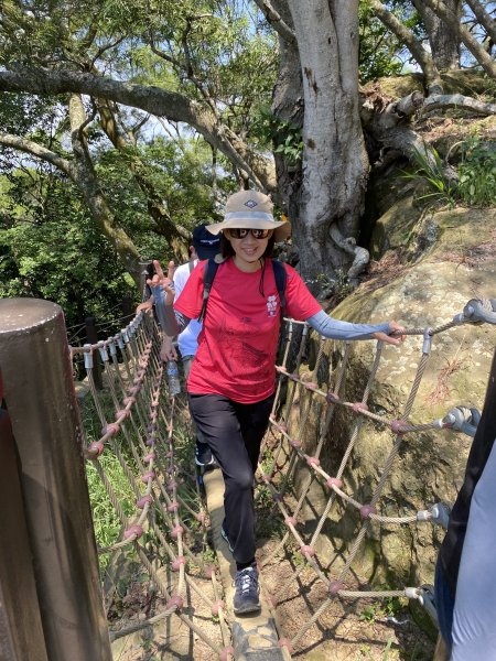《夏日大坑同行記｜10號步道登稜線，與家人感受山風與人情味》2926342