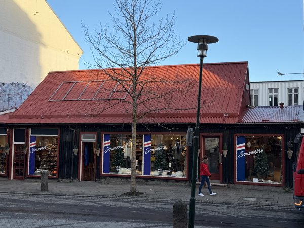 [紐約馬之行-20] 2025_1104 彩虹街2946312