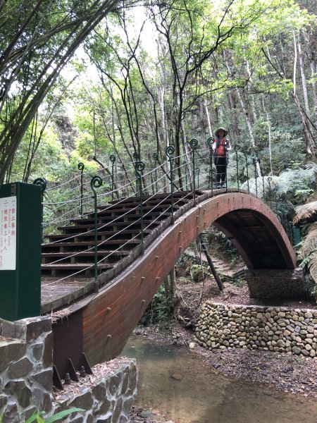 澀水森林步道2306032465002