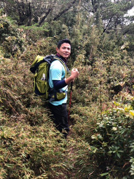 郡大山.望鄉山.臺中花博【給自己一份難忘569161