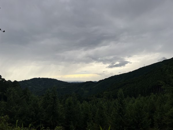 [皮皮獅探險隊-07/10] 2025_0719 油羅山步道2842681