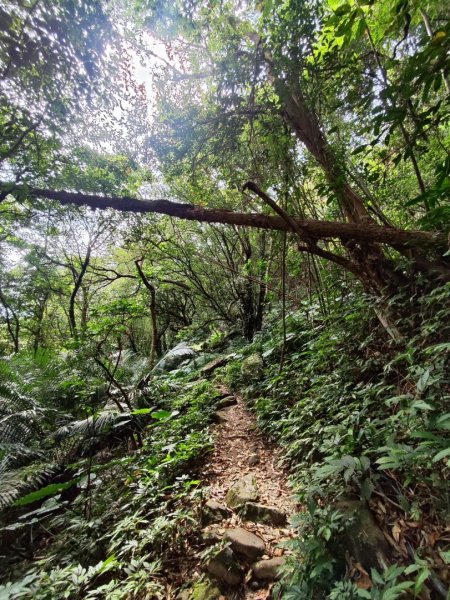 馬胎南坪古道2764741