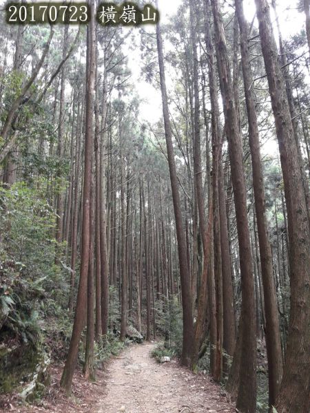 橫嶺山自然步道148048