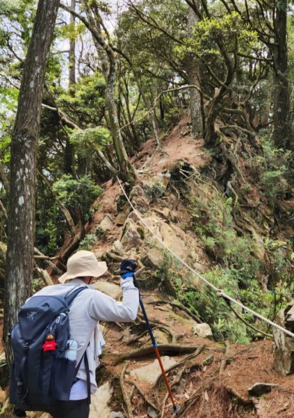 【中級山縱走】最美中級山，鳶嘴西稜縱走（鳶嘴山，醜崠山，長壽山）2741380