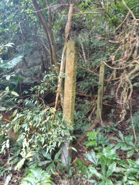 鳳鳴古道 鳳鳴山 南隘勇（南長城）古道 三湖山 八達嶺（龍骨）古道 綠色古道 延平古道2975322