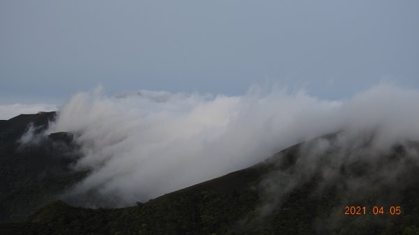 0405陽明山再見雲瀑，今年以來最滿意的一次1335461