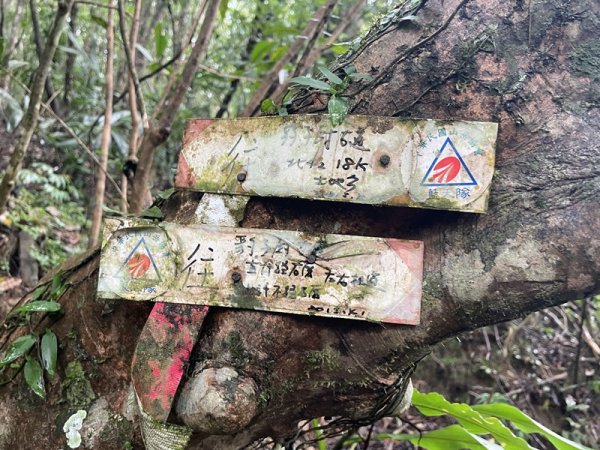 南北豹子廚山2925445