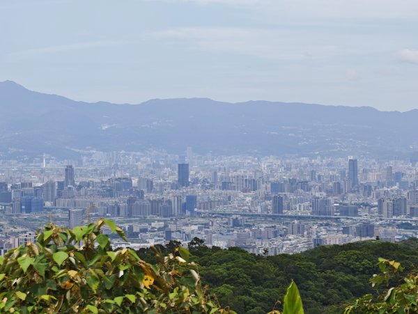 [微笑山線_第一段] 2026_0725 大棟山系_大同山3101740