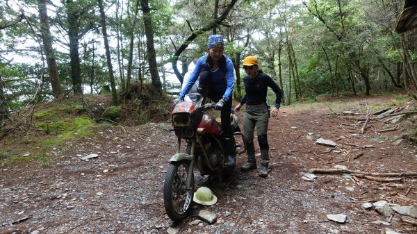 雙龍林道上巒安堂西巒大山1778694