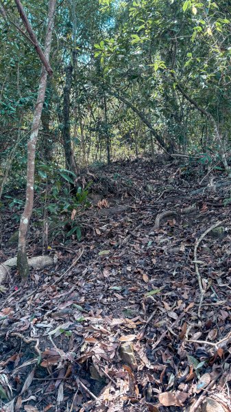 探勘路線上唐麻丹山3043653