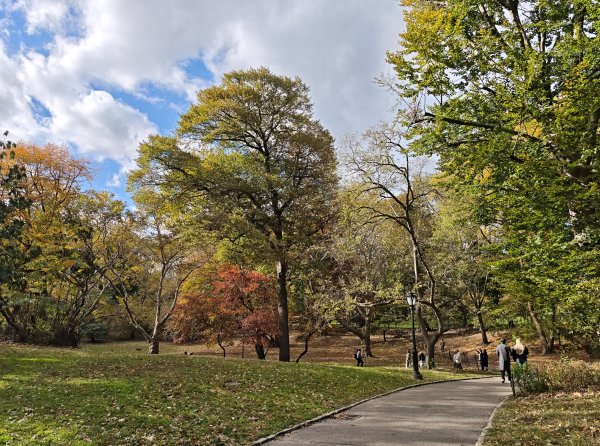 [紐約馬之行-11] 2025_1101 中央公園-畢士大露臺2945105