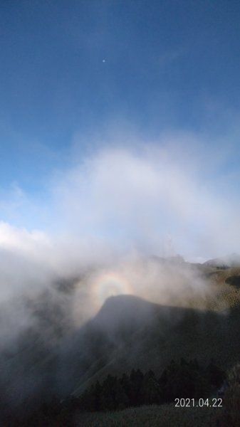 陽明山再見雲瀑觀音圈+月亮同框&夕陽4/22&241359317