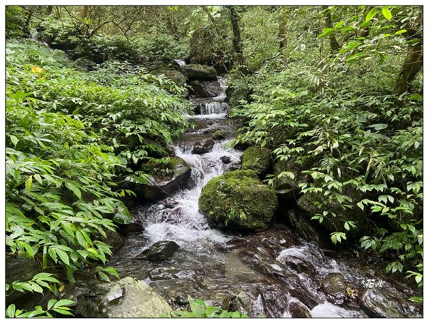 聖母峰、三角崙山 (抹茶山) 連走2802202