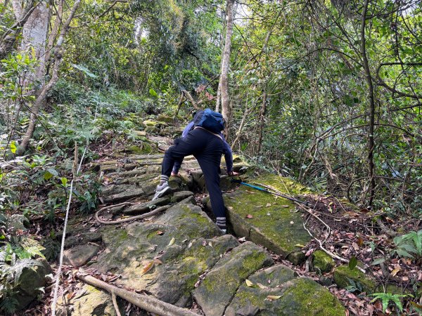 暗影山步道2753096