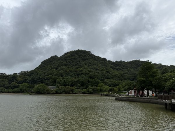 [2026臺北健走趣-03/50] 2026_0710_大湖公園(防災公園)3097788