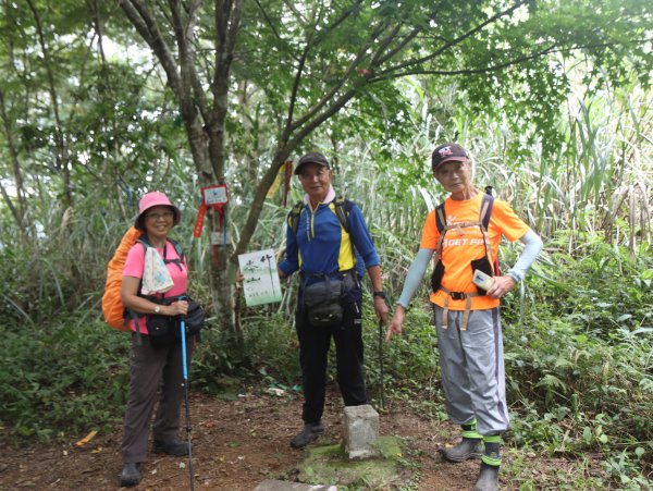 2023-06-19 建安四傑鳥嘴四秀─安坑站→大厝坑山→鳥尾崙→鳥背尖→鳥嘴尖→鳥頭尖→伍玄宮→竹崙山→麒麟山→保安宮O形