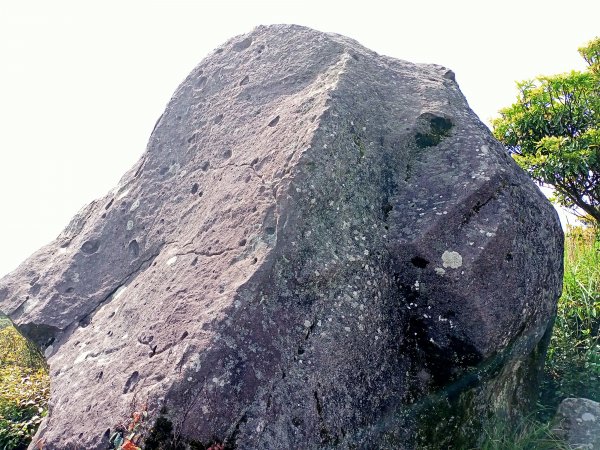 二子坪→菜公坑山→大屯自然公園→二子坪→二子山東、西峰→二子坪1665270