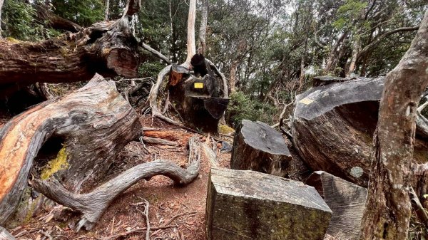 🌈9/7（日）夫拉縱走（夫婦山縱走拉拉山）✨FB：熊熊趴爬走🌈2880898