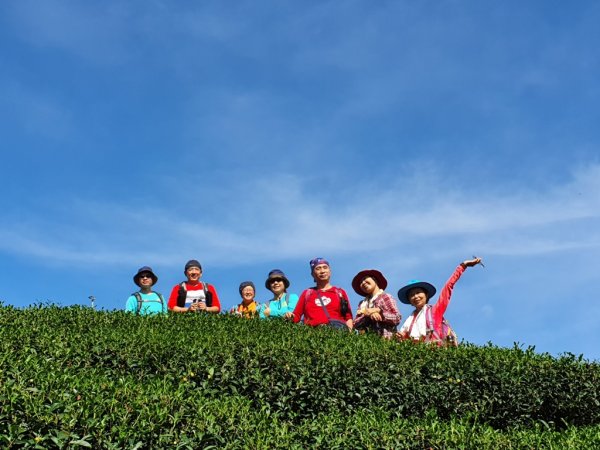 【雲嘉茶園之美】後棟山連走大二尖山1532211