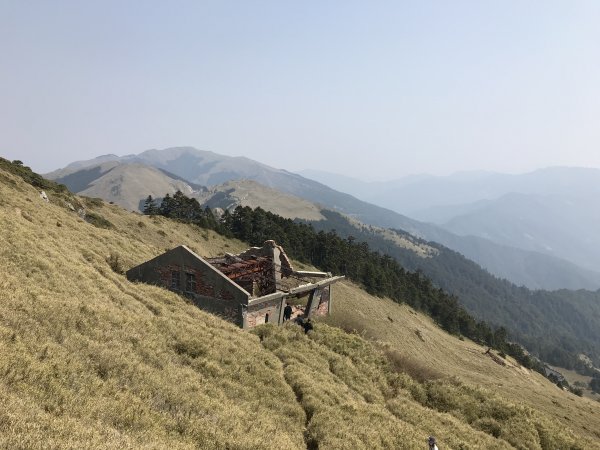 110年4月3日南投 合歡山東峰步道1433085